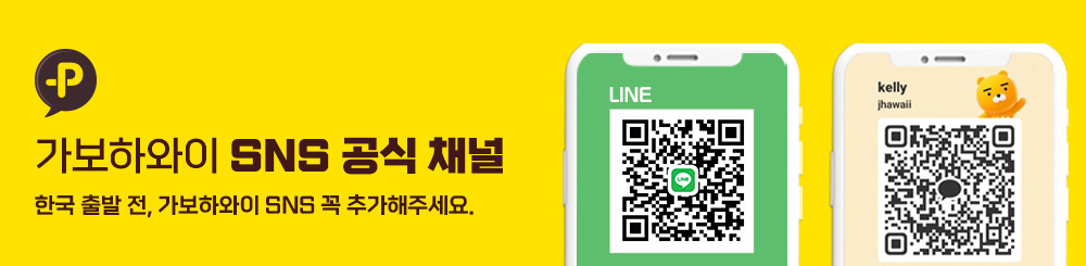 이미지명