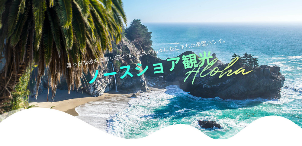  ノースショア観光～ プライベートツアー