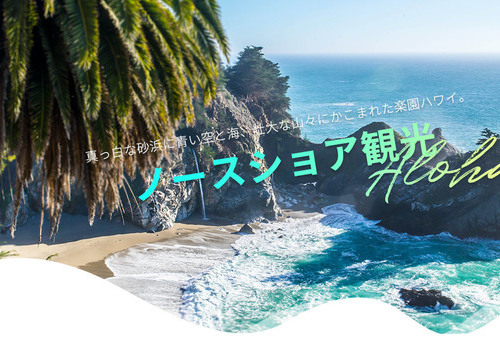  ノースショア観光～ プライベートツアー